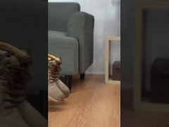 Men's sports shoes, anti slip and wear-resistant shoes